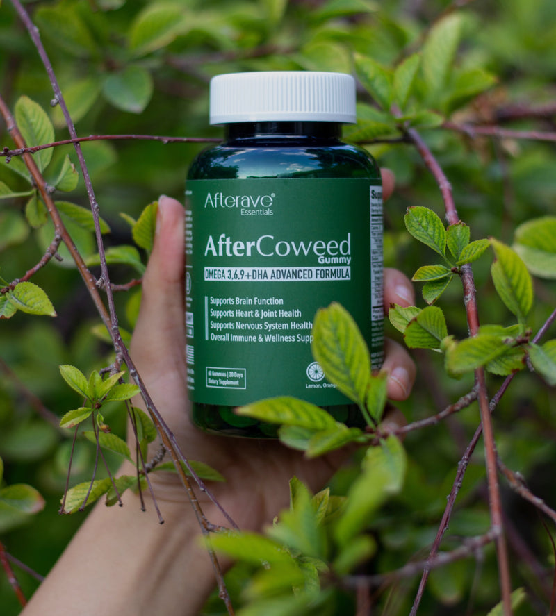 المنتج الجديد ٣